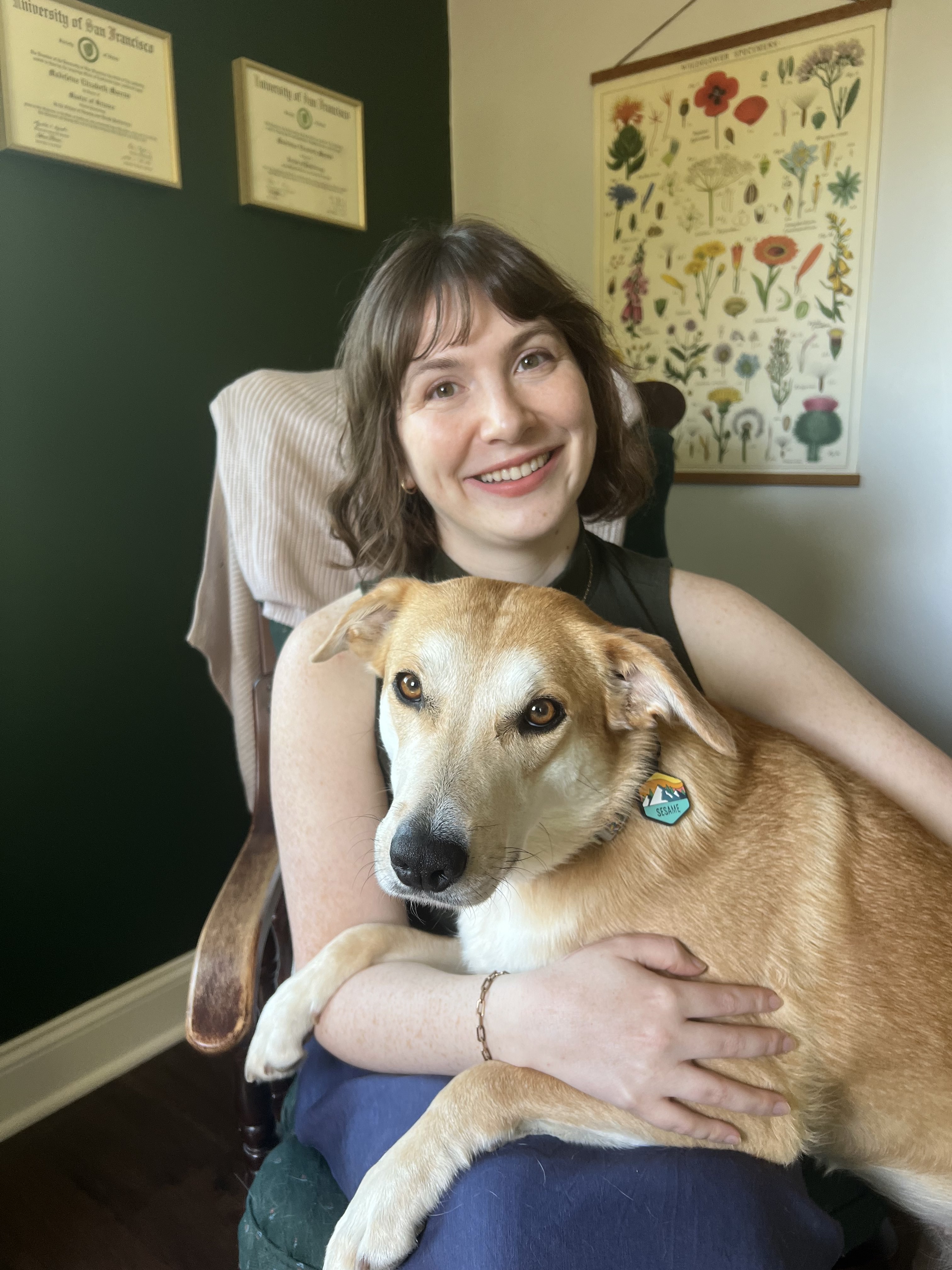 Dr. Marcus sits in chair with Sesame, a medium size dog, resting over her lap.